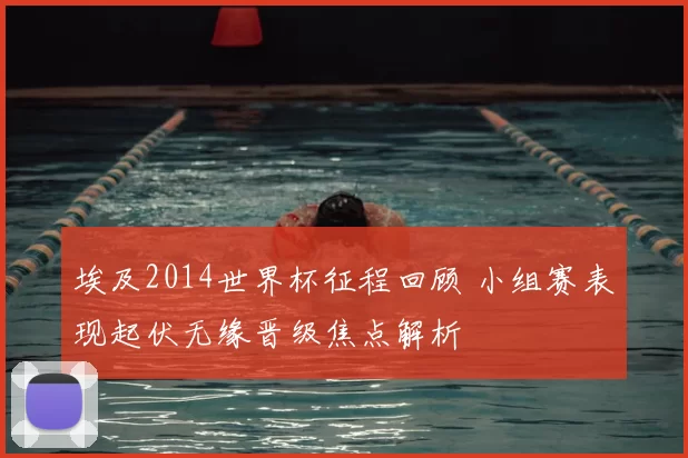 埃及2014世界杯征程回顾 小组赛表现起伏无缘晋级焦点解析