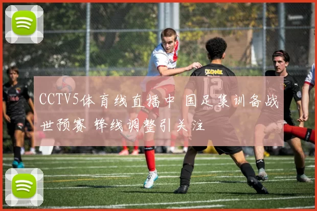 CCTV5体育线直播中 国足集训备战世预赛 锋线调整引关注
