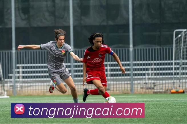 辅助工具 辅助工具